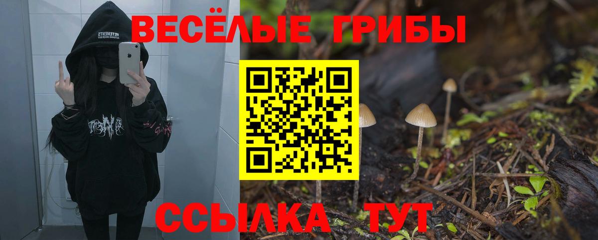 Псилоцибиновые грибы Psilocybe Амурск